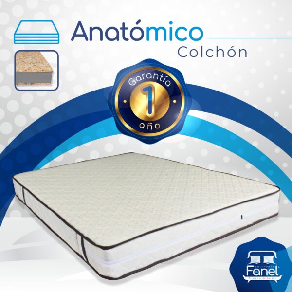Colchón Anatómico