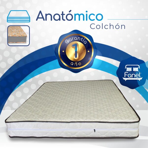 Colchón Anatómico - Image 4